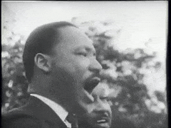 UnhealthyFragrantDouglasfirbarkbeetle-max-1mb